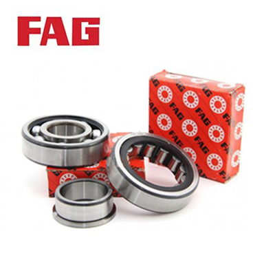 FAG Roller Bearings